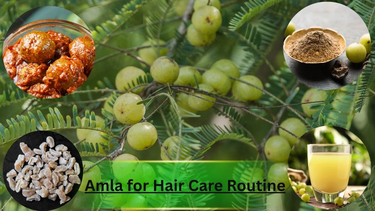 Amla for Hair Care Routine: आंवले से पाएं घने, चमकदार और मजबूत बाल – जानिए आसान घरेलू उपाय