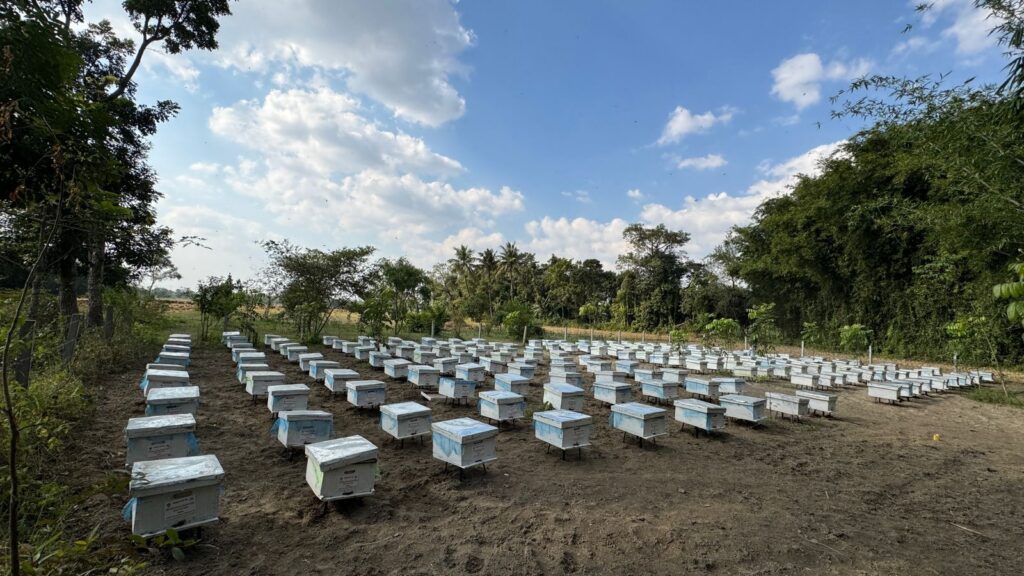 मधेपुरा के डीएम ने रामगंज परियोजना को उत्तर बिहार का रोल मॉडल बताया, CSIR–NBRI और रामालय फाउंडेशन की पहल की सराहना