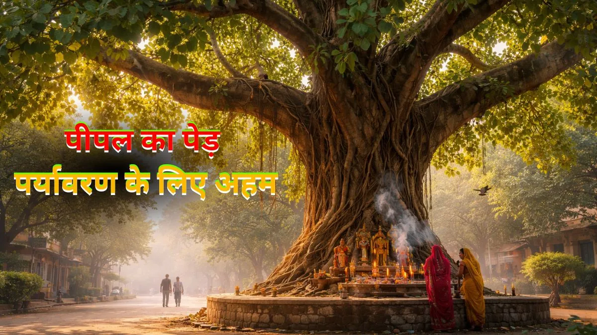 सिर्फ पूजा नहीं, जिंदगी बचाता है पीपल का पेड़ जानिए कैसे
